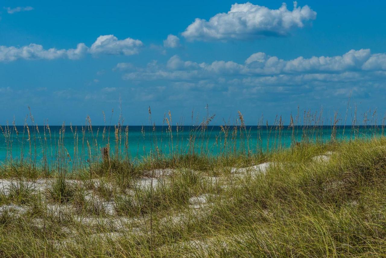 Calypso 1-609 East Lägenhet Panama City Beach Exteriör bild